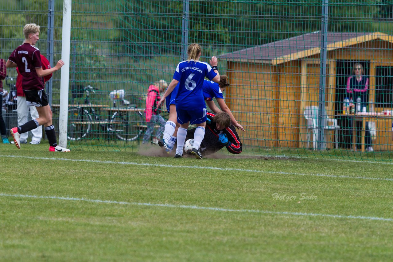 Bild 435 - Frauen FSC Kaltenkirchen : SG Wilstermarsch : Ergebnis: 1:1